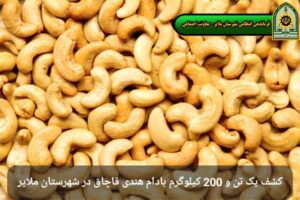 کشف بیش از یک تُن بادام هندی قاچاق در ملایر
