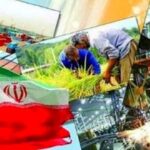 تحقق بیش از ۱۰۰ درصدی اشتغال در جهاد کشاورزی سیستان و بلوچستان