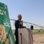 پرداخت ۸۴ درصدی بهای گندم به کشاورزان کشور