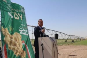 پرداخت ۸۴ درصدی بهای گندم به کشاورزان کشور