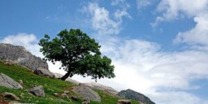 افزایش سرعت باد در همدان ثبات نسبی دماهای صبحگاهی
