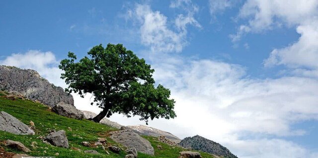 افزایش سرعت باد در همدان ثبات نسبی دماهای صبحگاهی