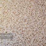 دلالی در بازار برنج پایان ندارد