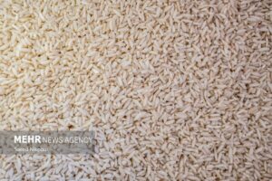 دلالی در بازار برنج پایان ندارد