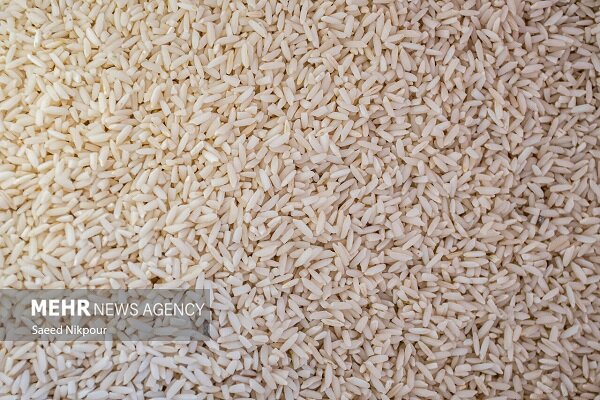 دلالی در بازار برنج پایان ندارد